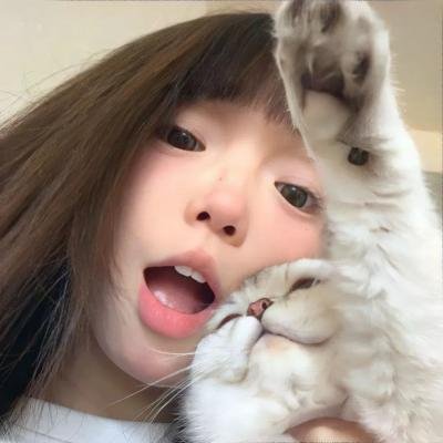 女王鲨